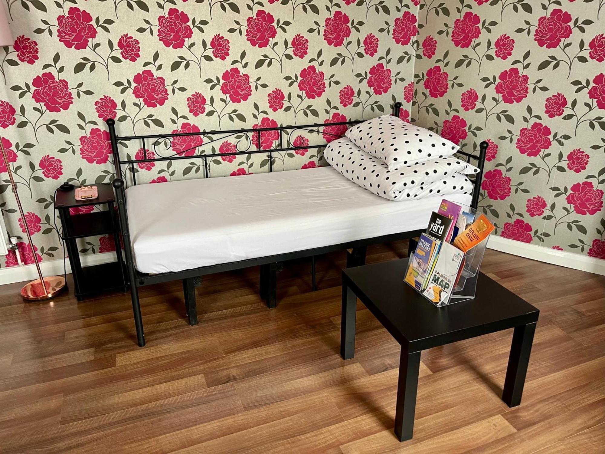 Entire Pinkapt - Free Parking - Up To 4 Guests - 3 Beds - Close To Centre Apartamento Belfast